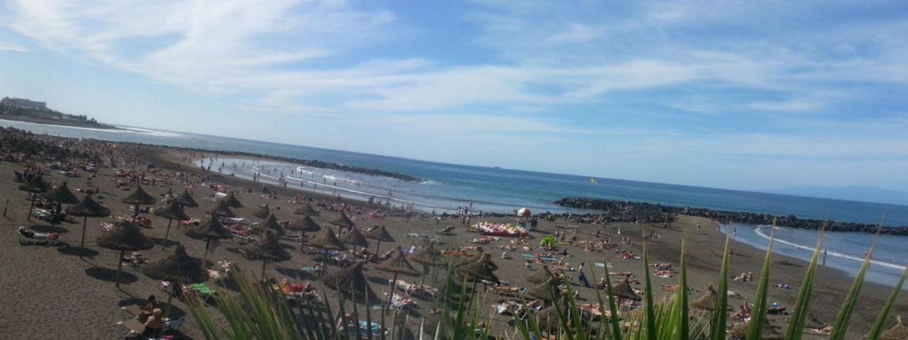 Dream View *